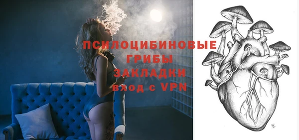 кокаин Белокуриха