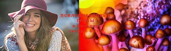 каннабис Беломорск